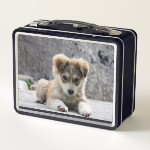 Beautiful Little Puppy Metal Lunch Box