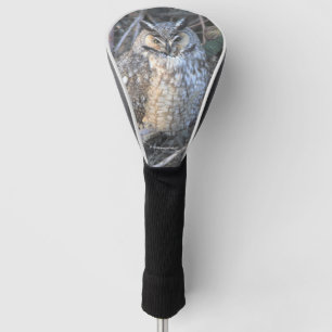 Beautiful Long-Eared Owl at Sunset Golf Head Cover