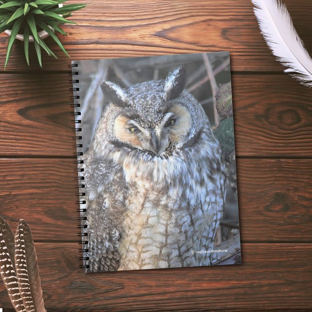 Beautiful Long-Eared Owl at Sunset Notebook (Beautiful Long-Eared Owl in the Brush Journal Cover Photo)