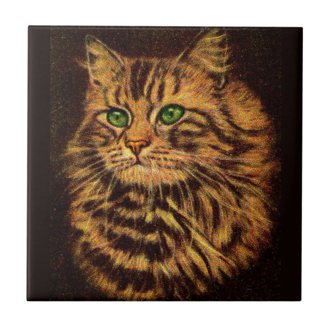 beautiful long-haired tabby cat tile (Front)