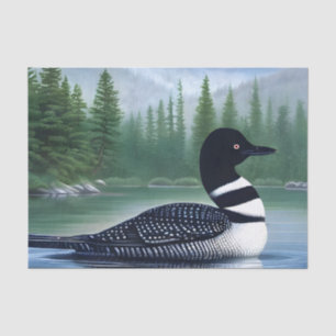 Beautiful Loon On Northern Lake Tissue Paper