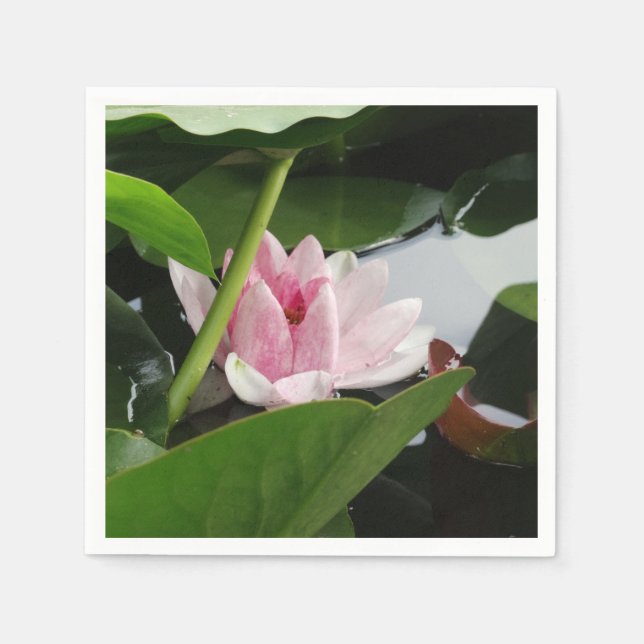 Beautiful Lotus Flower  Cocktail Napkin (Front)