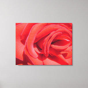 beautiful love red rose picture wrapped canvas. canvas print