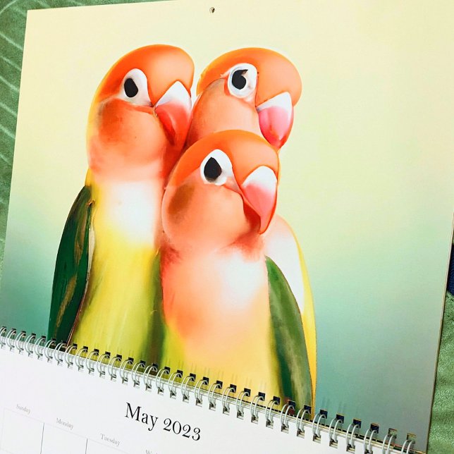 Beautiful Lovebird Watercolor Bird Cute Pet Parrot Calendar (Creator Uploaded)