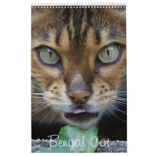 Beautiful Lovely Bengal Cats 2025 Calendar