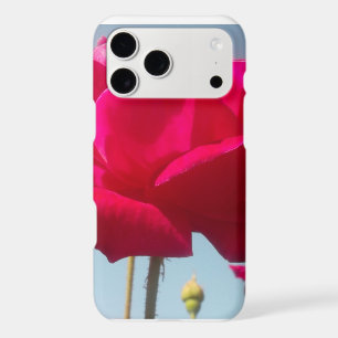 Beautiful Lovely Celestial Rose Red Against Blue 