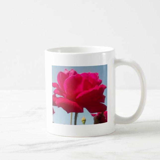 Beautiful Lovely Celestial Rose Red Against Blue  Coffee Mug (Right)