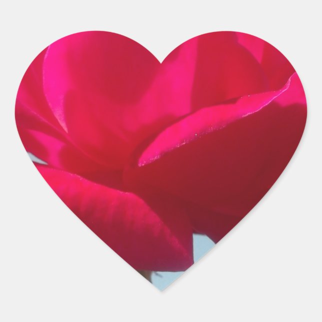 Beautiful Lovely Celestial Rose Red Against Blue  Heart Sticker (Front)