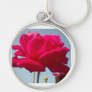 Beautiful Lovely Celestial Rose Red Against Blue  Key Ring