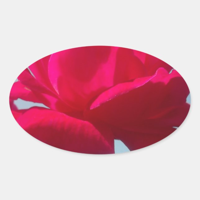 Beautiful Lovely Celestial Rose Red Against Blue  Oval Sticker (Front)
