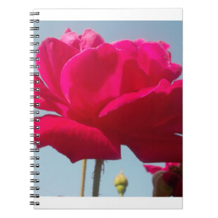 Beautiful Lovely Celestial Rose Red Against Blue  Spiral Notebook