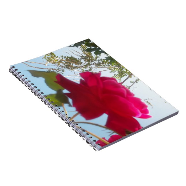 Beautiful Lovely Celestial Rose: Red Against Blue  Spiral Notebook (Right Side)