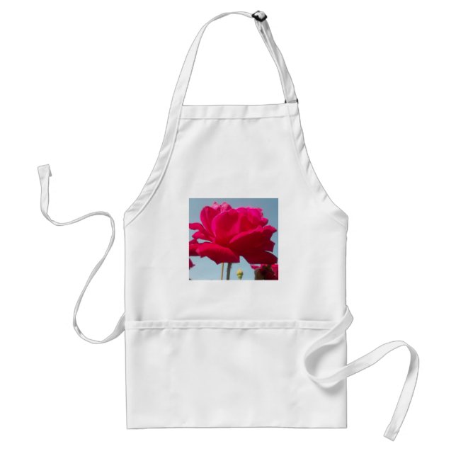 Beautiful Lovely Celestial Rose Red Against Blue  Standard Apron (Front)