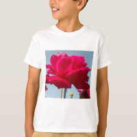 Beautiful Lovely Celestial Rose Red Against Blue