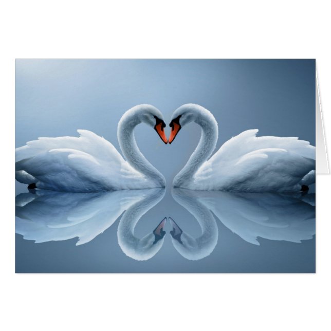 Beautiful Loving Swans gifts (Front Horizontal)