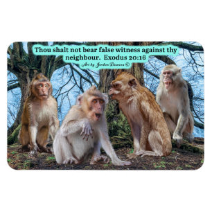 Beautiful Macaque Monkey Scripture Exodus 20:16 Magnet