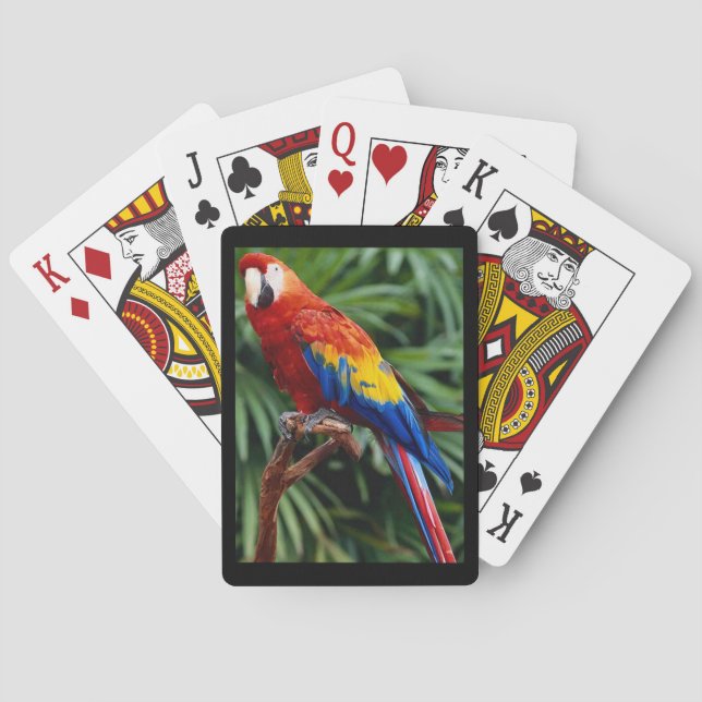 Beautiful Macaw Deck of Playing Cards (Back)