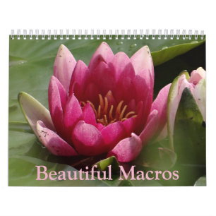 Beautiful Macros Calendar