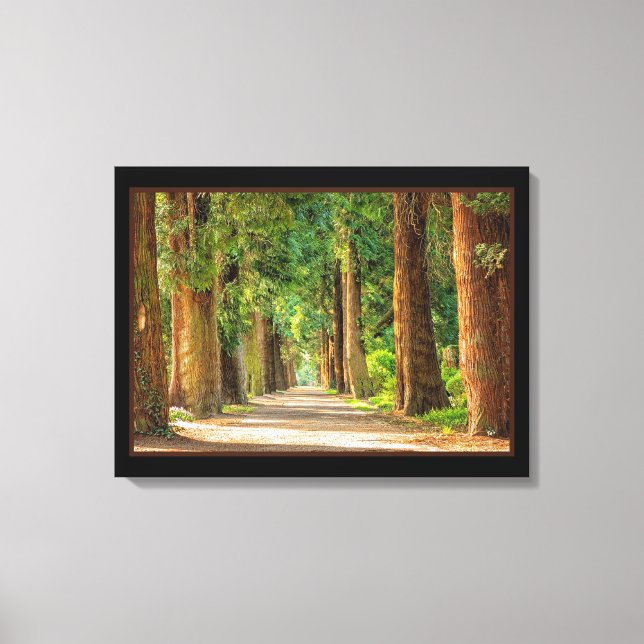 Beautiful Magic Spring Forest Canvas Print (Front)