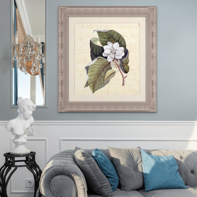 Beautiful Magnolia Blossom Antique Collage Poster (Creator Uploaded)