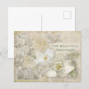 Beautiful Magnolia Vintage Collage  Postcard