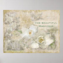 Beautiful Magnolia Vintage