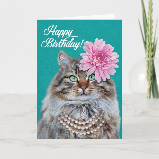 Beautiful Maine Coon Cat– You Look Meowvalous! Card (Front)