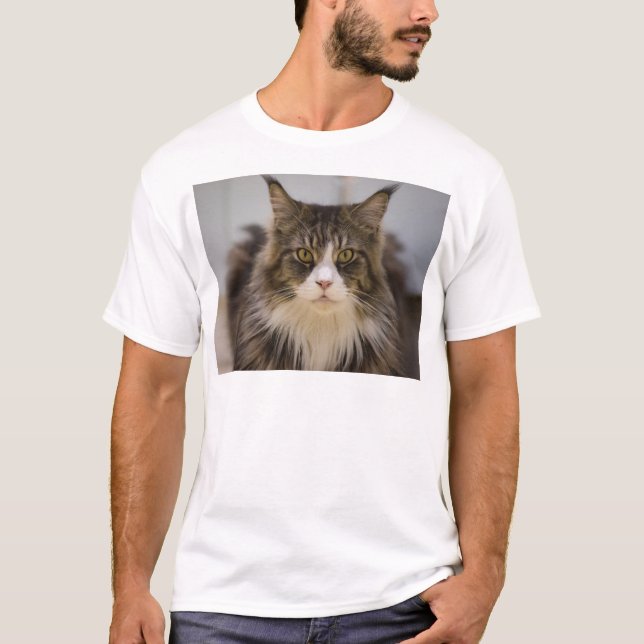 Beautiful maine coon T-Shirt (Front)