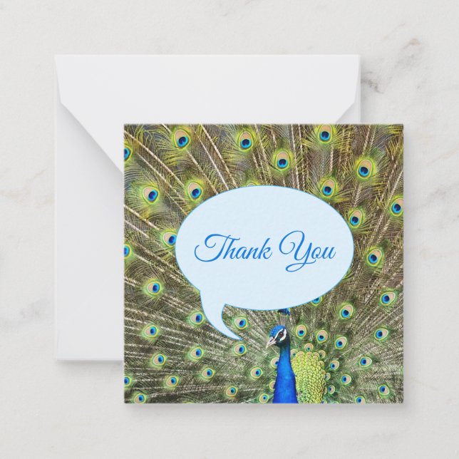 Beautiful majestic peacock Thank You Card (Front)
