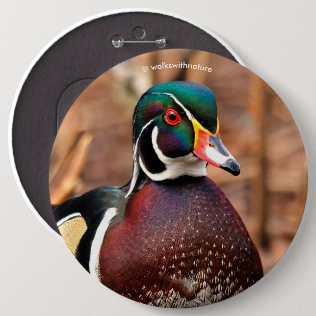 Beautiful Male Wood Duck in the Woods 6 Cm Round Badge (Front & Back)