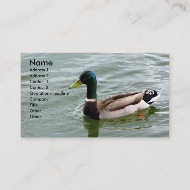 Beautiful Mallard Duck Business Card (Front)