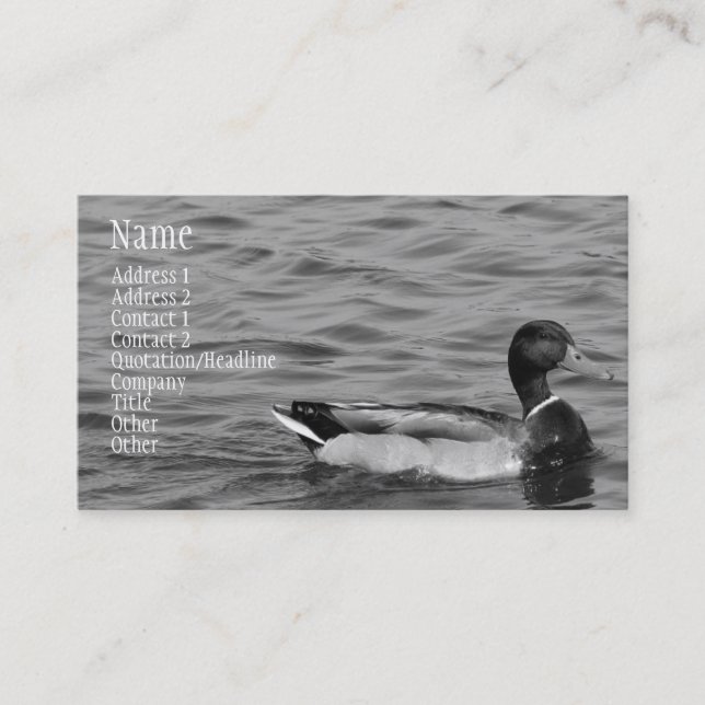 Beautiful Mallard Duck Business Card (Front)