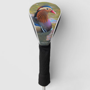 Beautiful Mandarin Duck in the Pond Golf Head Cover