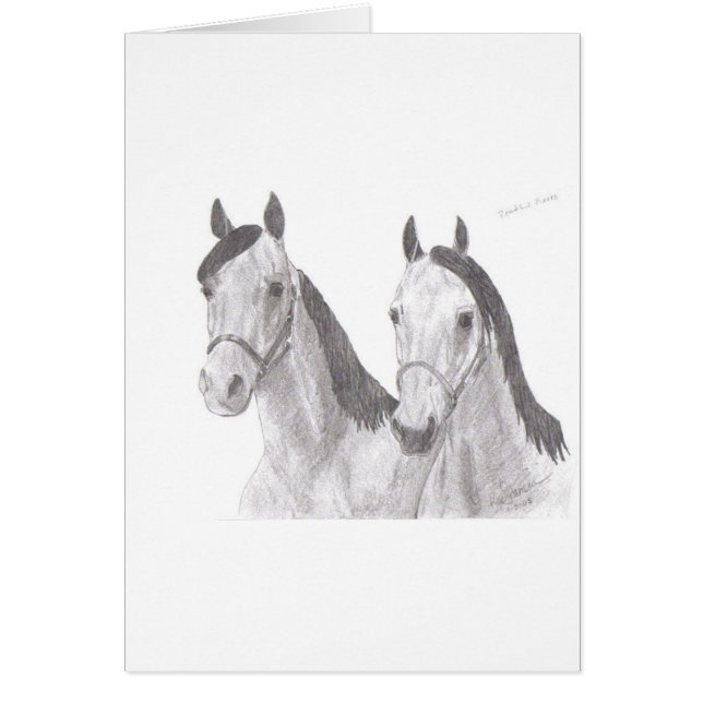 Beautiful Mares Horse Drawings (Front)