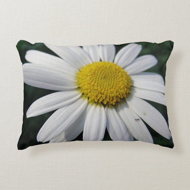 Beautiful Margerita Decorative Cushion (Front)