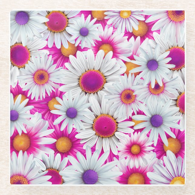 Beautiful Marguerite Flowers Coaster (Front)