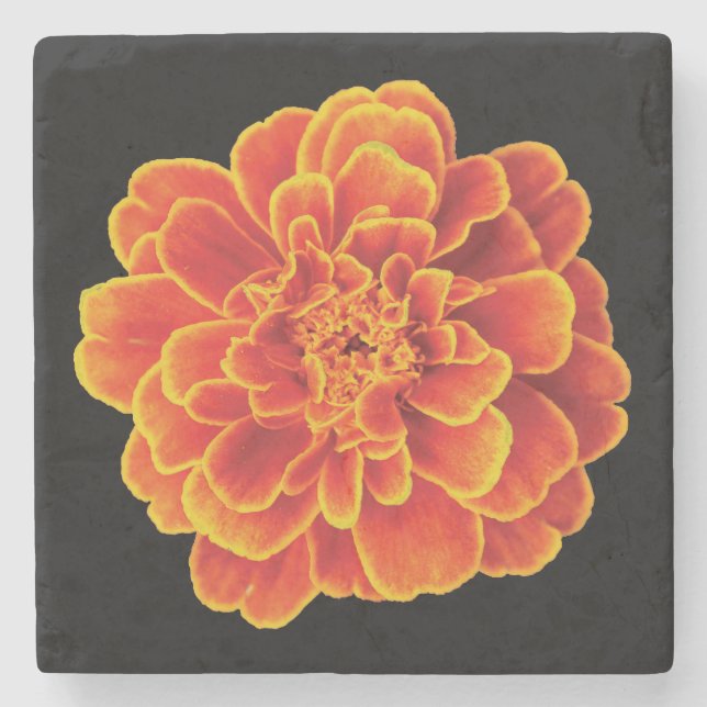 Beautiful Marigold Stone Coaster (Front)
