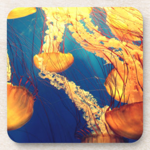 Beautiful Marine Life: Golden Jellyfish Coaster