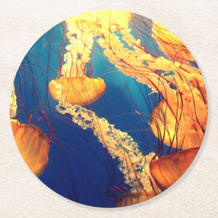 Beautiful Marine Life: Golden Jellyfish Round Paper Coaster