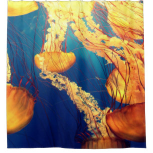 Beautiful Marine Life: Golden Jellyfish Shower Curtain