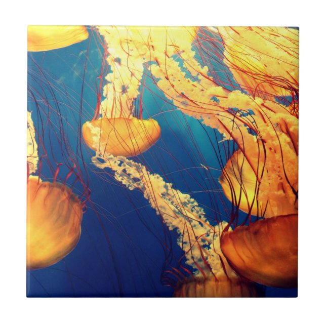Beautiful Marine Life: Golden Jellyfish Tile (Front)
