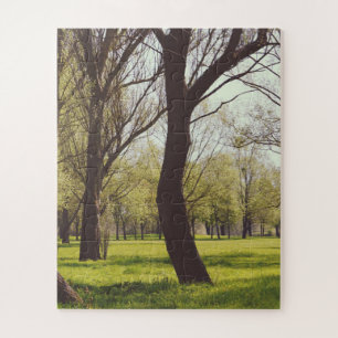 Beautiful Meadow Jigsaw Puzzle