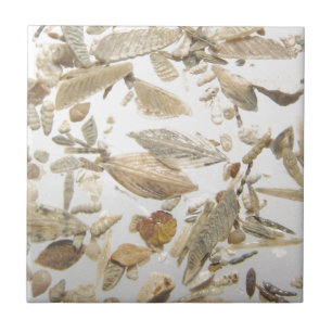 Beautiful microfossils photo pattern tile