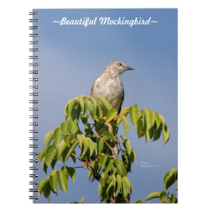 Beautiful Mockingbird bird Notebook