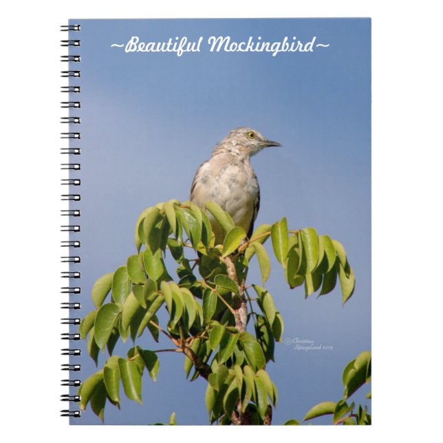 Beautiful Mockingbird bird Notebook (Front)