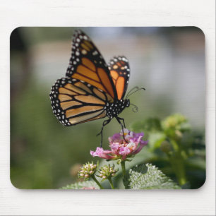 Beautiful Monarch Butterfly Mouse Pad
