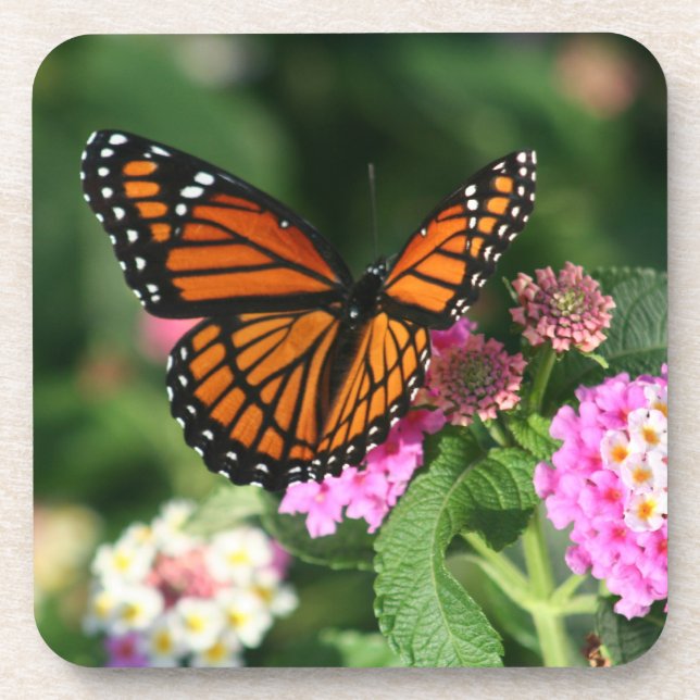 Beautiful Monarch Butterfly on Flowers.Coasters Coaster (Front)