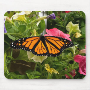 Beautiful Monarch Butterfly Spread Wings Petunia Mouse Pad