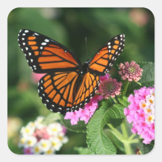 Beautiful Monarch Butterfly Square Sticker