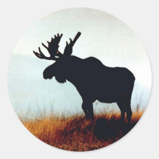 Beautiful Moose Classic Round Sticker